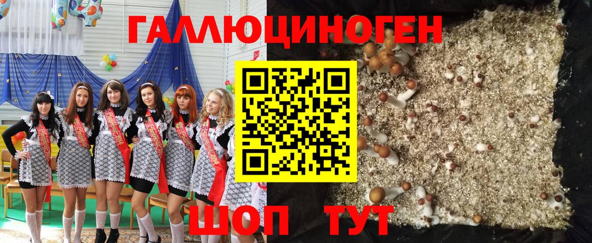 Псилоцибиновые грибы прущие грибы  Вход с VPN  Озёрск  Галлюциногенные грибы прущие грибы 
